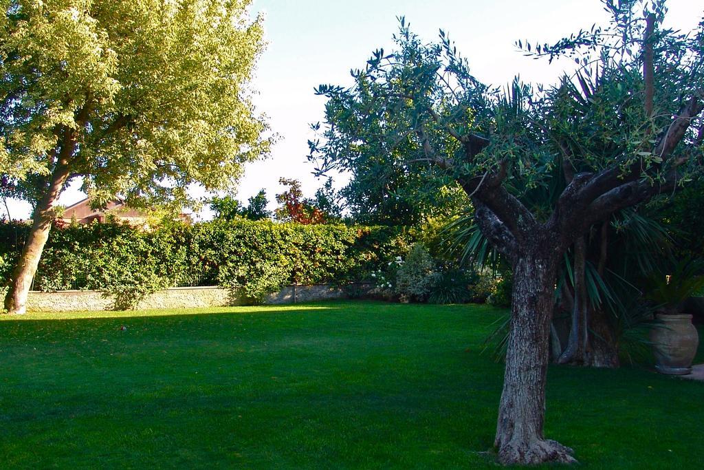B&B La Casa Di Gio Casal Palocco Eksteriør billede